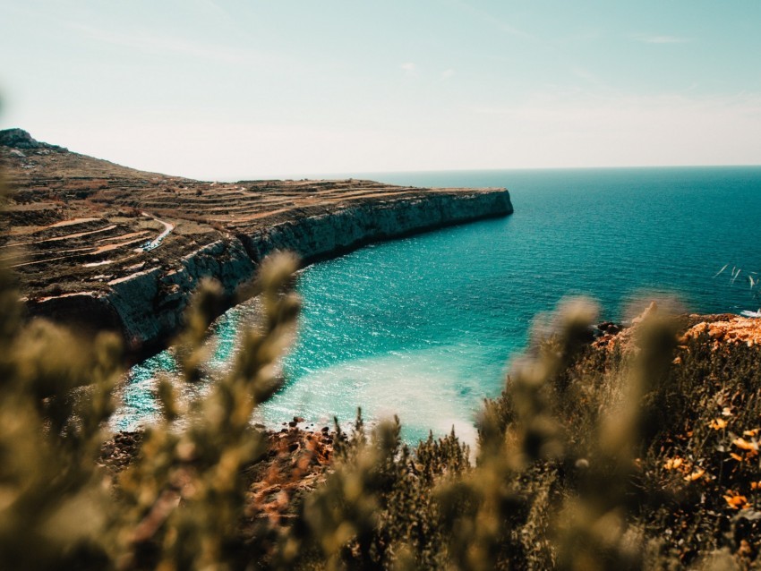 shore sea cliff stone water plants PNG no background free 4k wallpaper