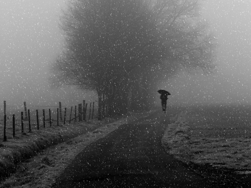 silhouette bw snowfall tree umbrella path Free PNG images with clear backdrop 4k wallpaper
