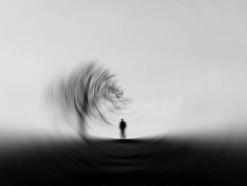 silhouette bw tree blur effect Transparent PNG Isolated Element 4k wallpaper