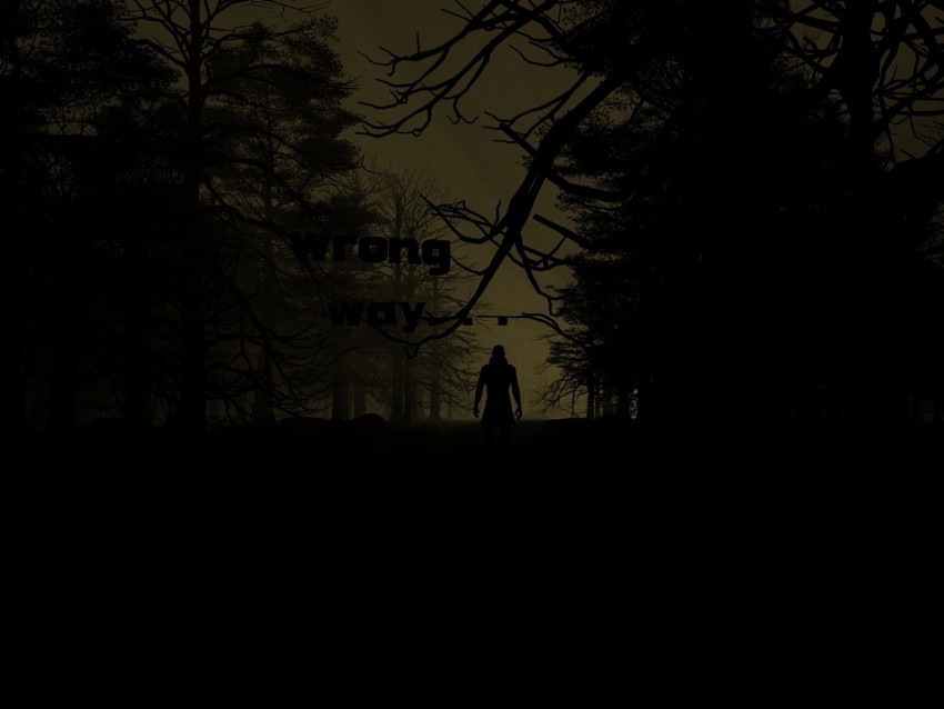 silhouette dark night forest trees Isolated Item with HighResolution Transparent PNG