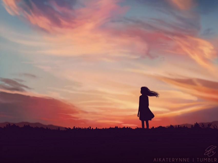 silhouette field art sky evening sunset loneliness Transparent picture PNG 4k wallpaper