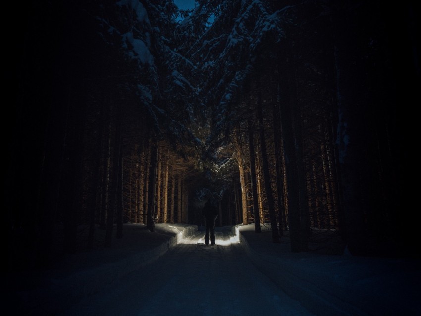 silhouette forest road snow trees Isolated Subject with Clear PNG Background 4k wallpaper