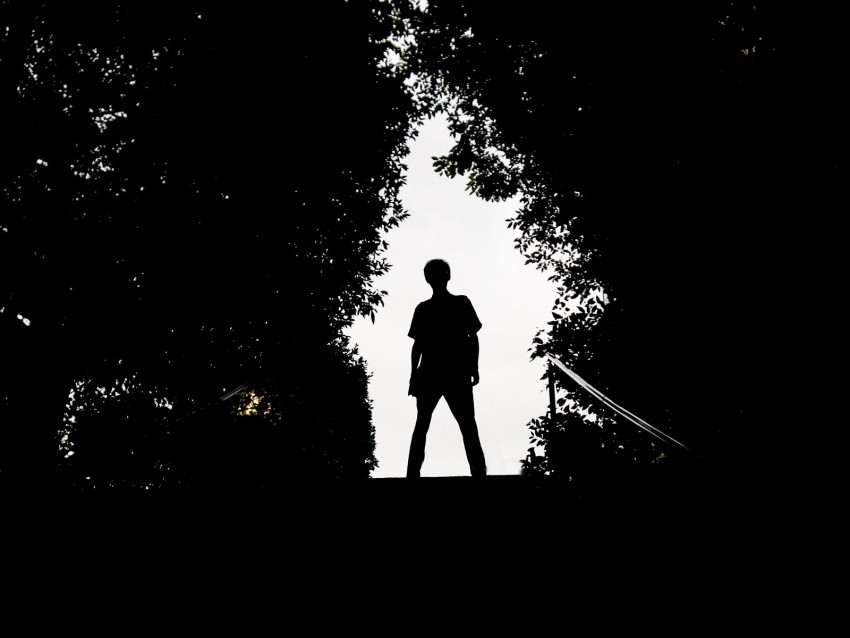 silhouette man dark trees Isolated Object on Transparent PNG 4k wallpaper