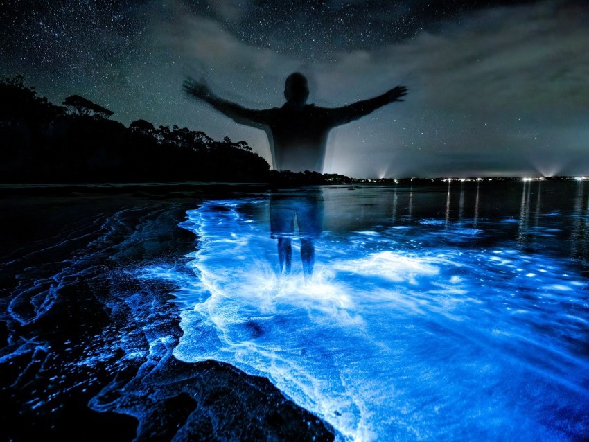 silhouette night water luminescence glow Transparent PNG images bundle 4k wallpaper