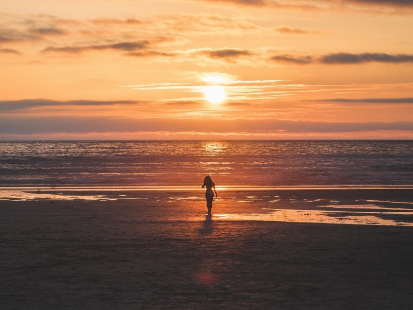 silhouette sunset sea coast horizon lonely Isolated Item with HighResolution Transparent PNG