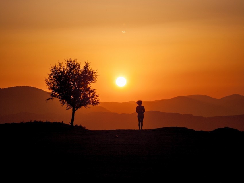 silhouette sunset tree loneliness sunlight PNG images for websites 4k wallpaper