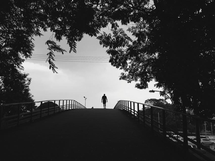 silhouette trees bw walk lonely loneliness PNG with clear background set