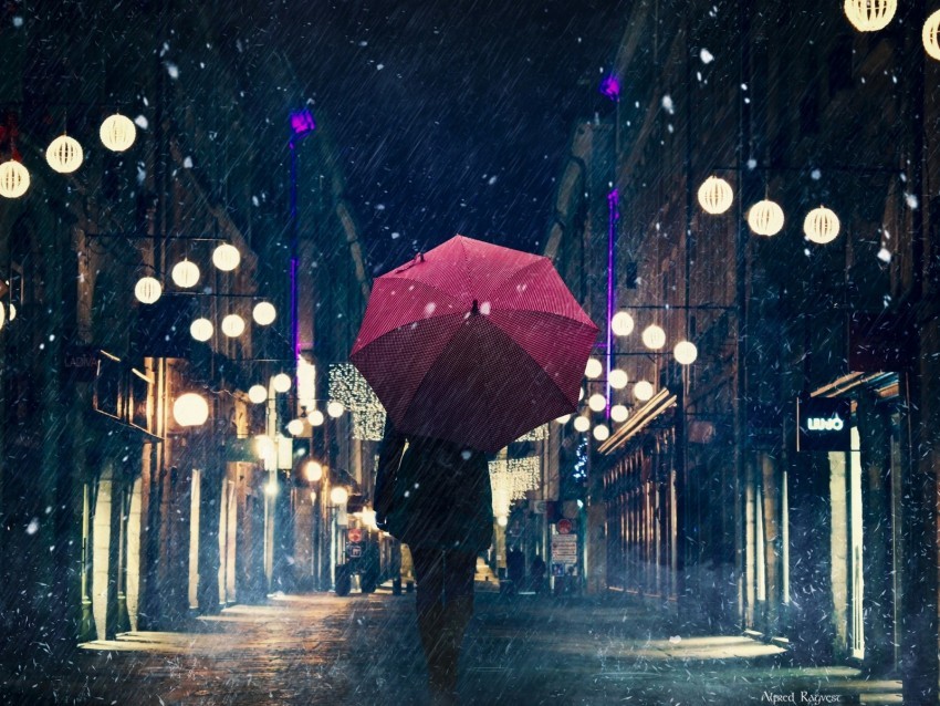 silhouette umbrella night city rain street city lights Isolated Item on Transparent PNG Format