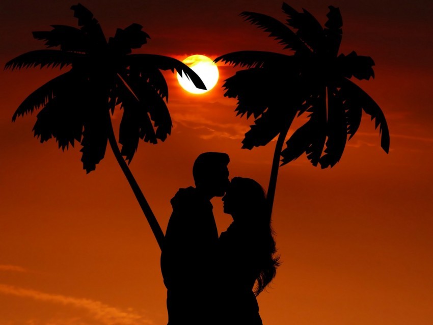 silhouettes couple hug palm night romance Isolated Object on Transparent Background in PNG