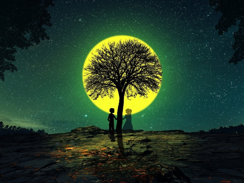 silhouettes love tree night Isolated Artwork on Transparent Background