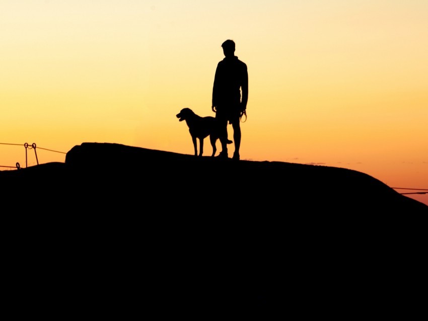 silhouettes man dog sunset hill Isolated Design Element in Clear Transparent PNG