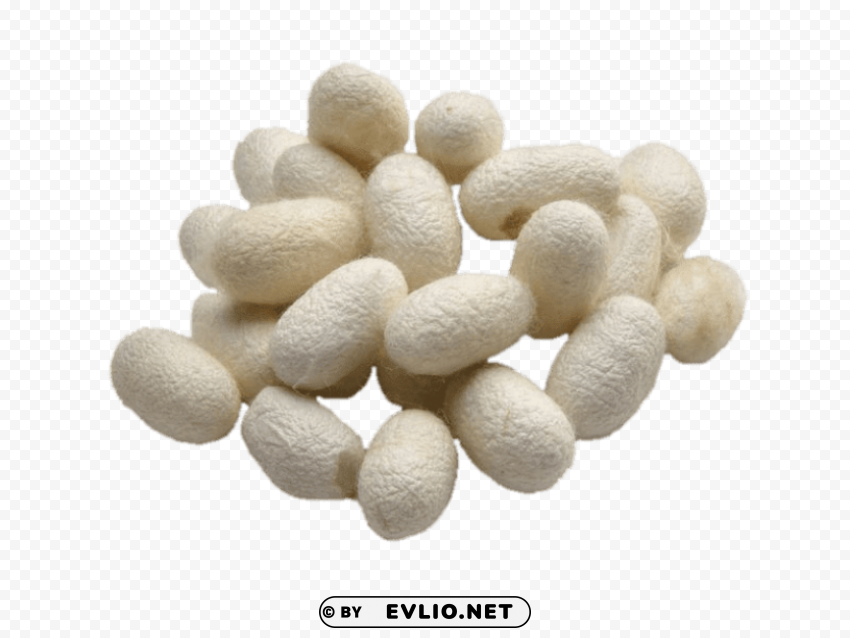 silkworm cocoons PNG images with clear alpha layer