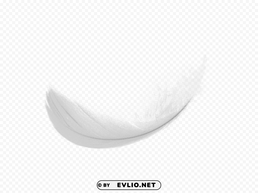 simple white feaher PNG Image Isolated with Transparent Clarity