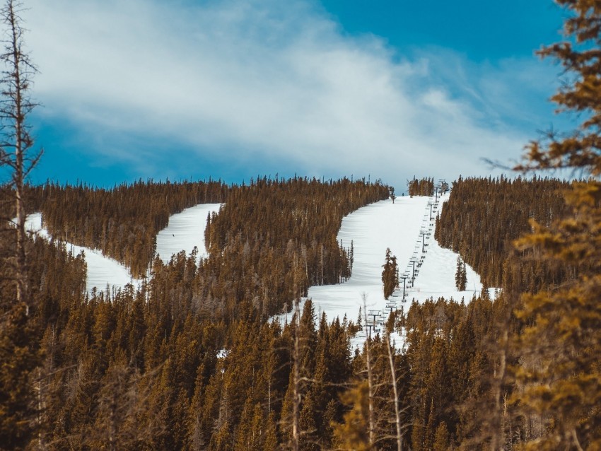 slope forest snow trees PNG for presentations