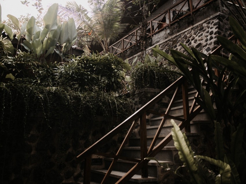 stairs plants tropical decorative building PNG graphics with clear alpha channel broad selection 4k wallpaper