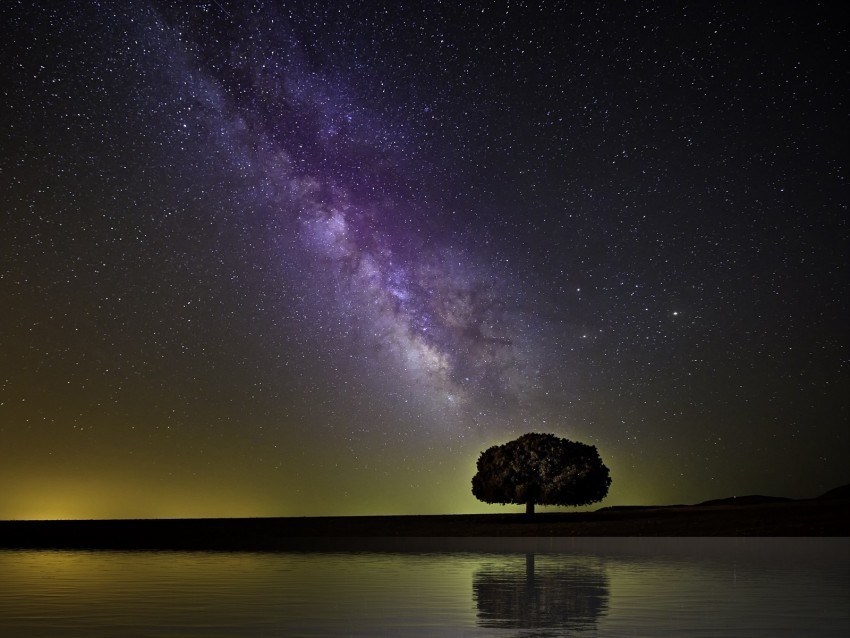 starry sky milky way tree horizon coast night Isolated PNG Image with Transparent Background