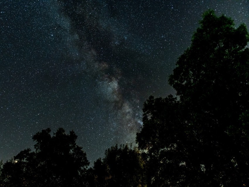 starry sky milky way trees night stars PNG transparent photos mega collection