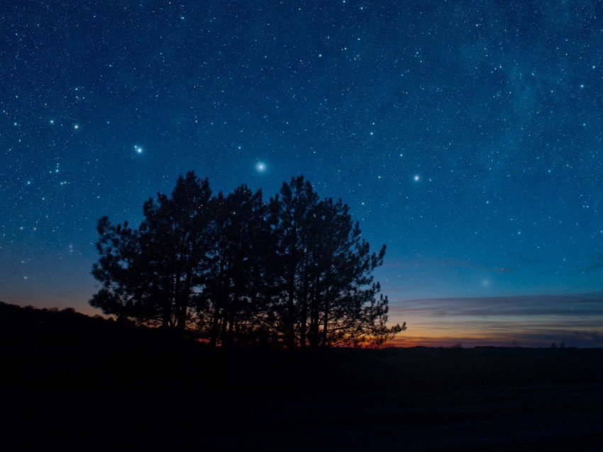 starry sky night trees stars landscape PNG with clear transparency 4k wallpaper