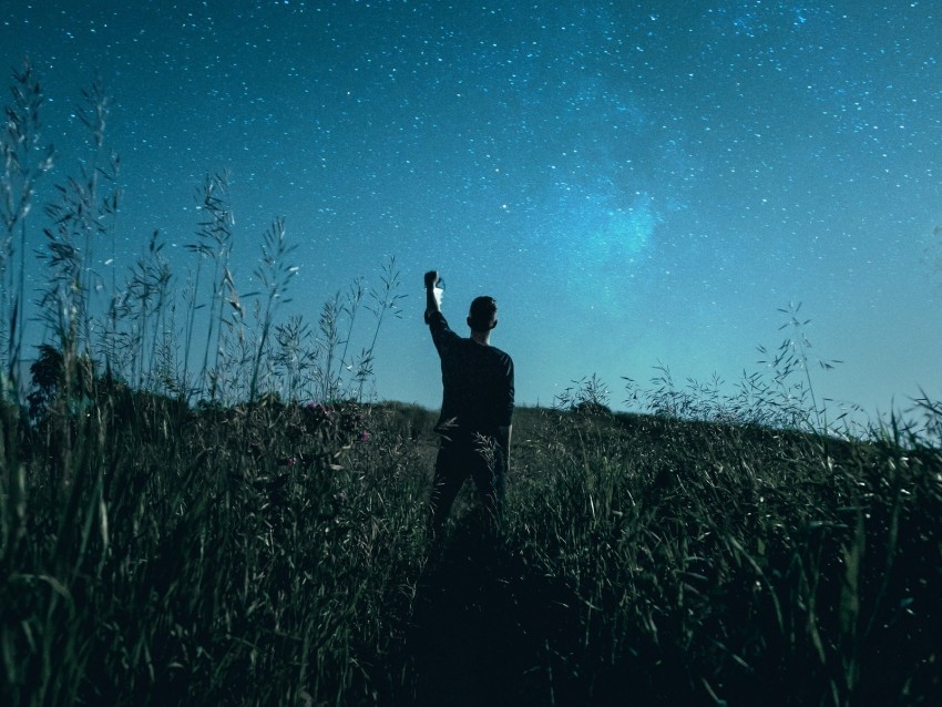 starry sky silhouette night grass field Transparent picture PNG