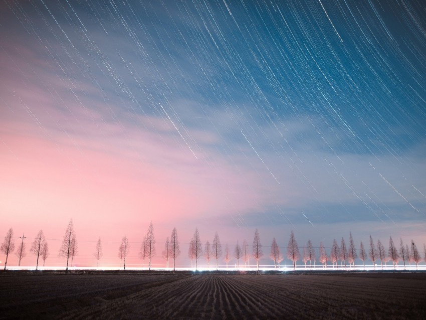 starry sky trees night sky stars Transparent PNG art