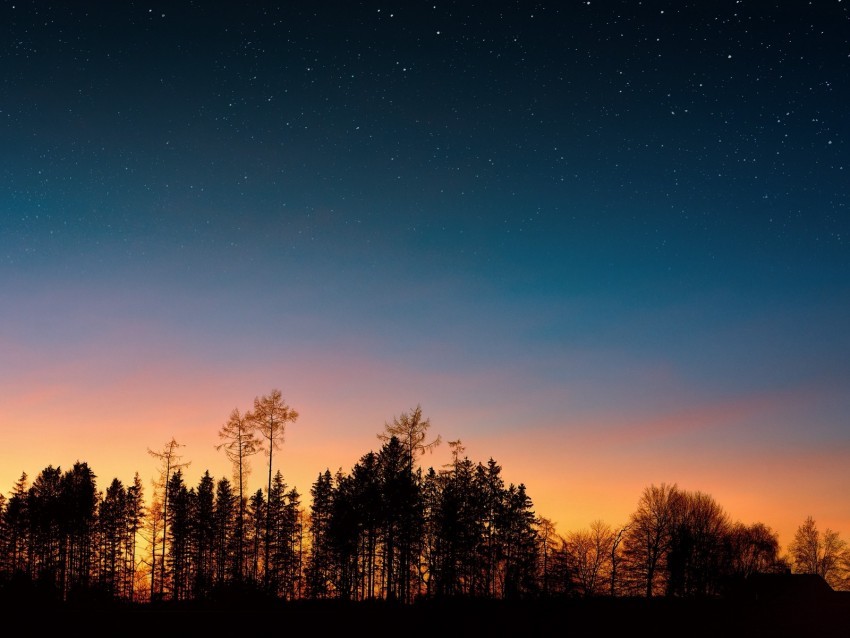 starry sky trees sunset night forest Free PNG download 4k wallpaper