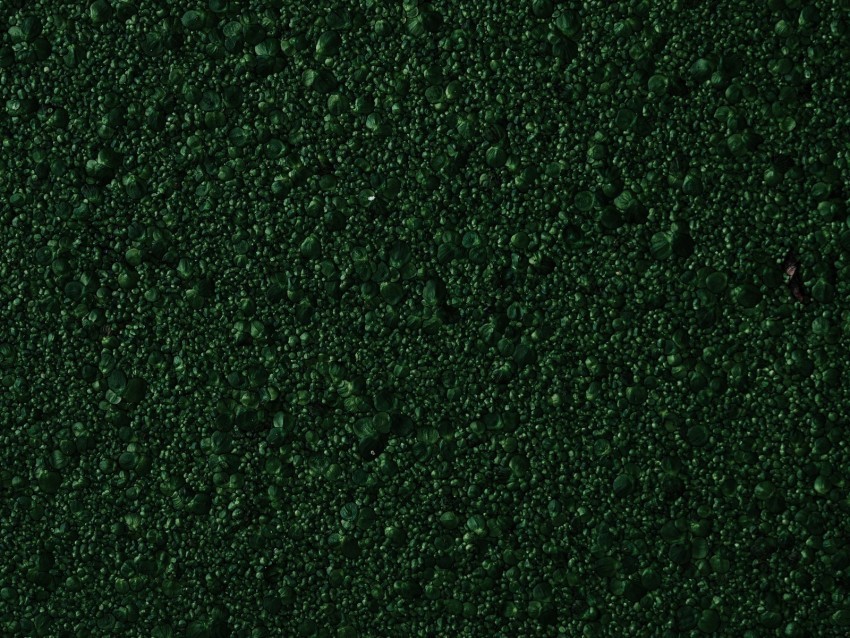 stones green texture surface Clear Background Isolated PNG Illustration