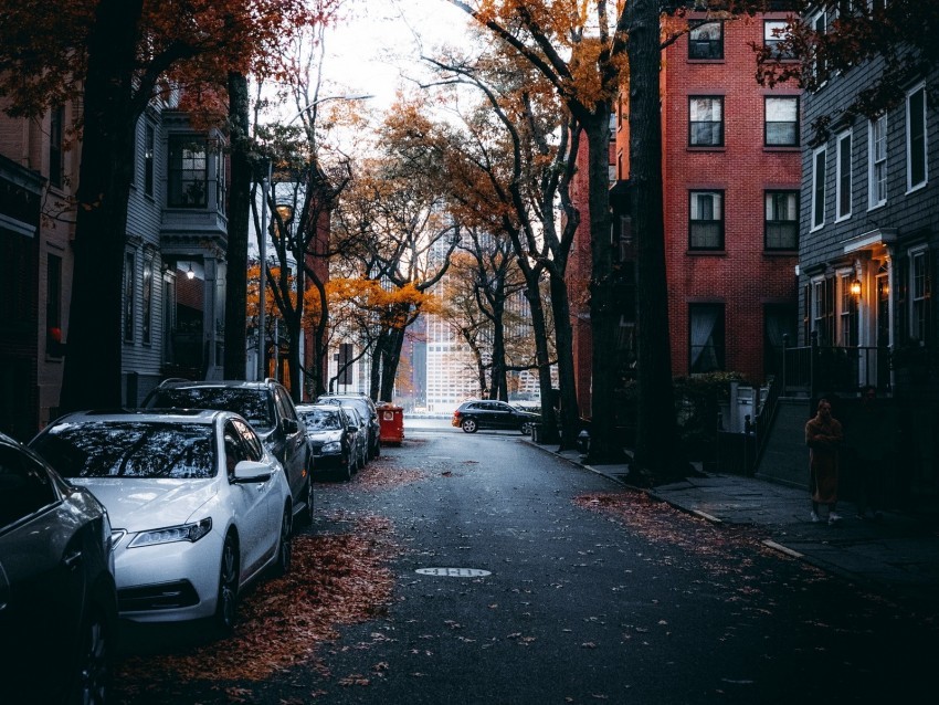 street city autumn cars trees Free download PNG images with alpha channel