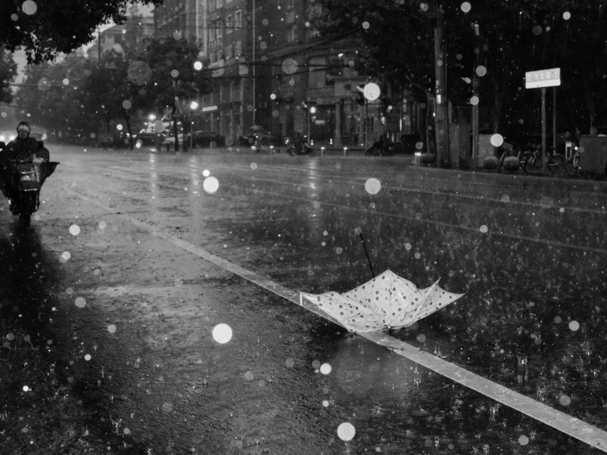 street rain bw umbrella asphalt wet PNG images with alpha transparency wide selection 4k wallpaper