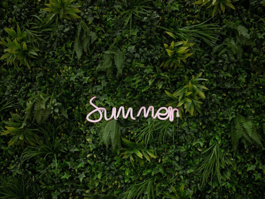 summer vegetation inscription plants greenery PNG Image with Clear Background Isolation