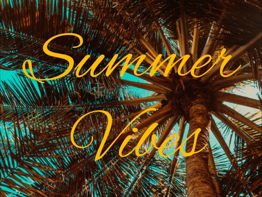 summer vibes palm mood Isolated Icon on Transparent PNG
