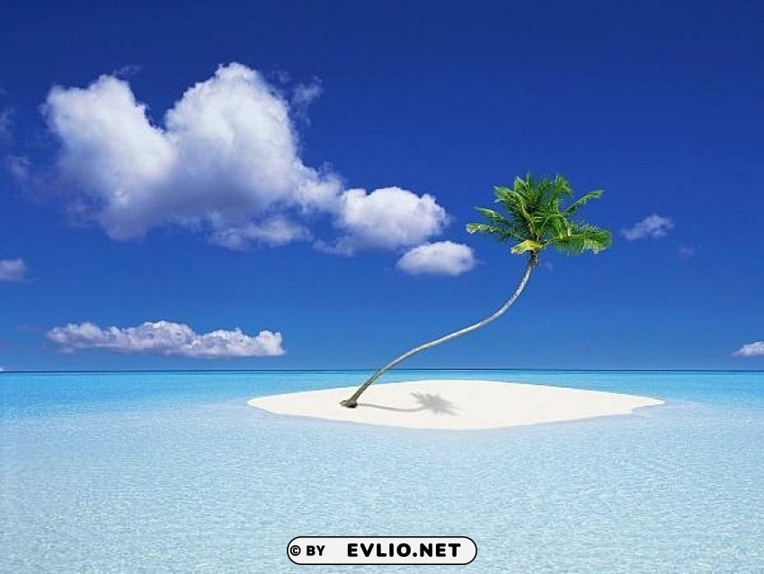 summer3 PNG Image with Isolated Element