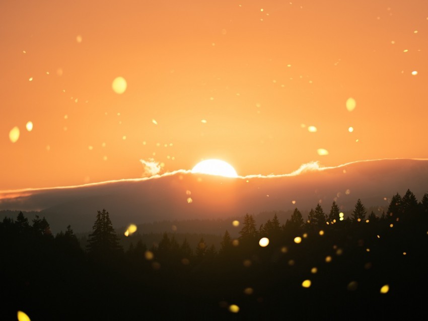 sun flare sunlight sunset landscape PNG Isolated Object with Clarity