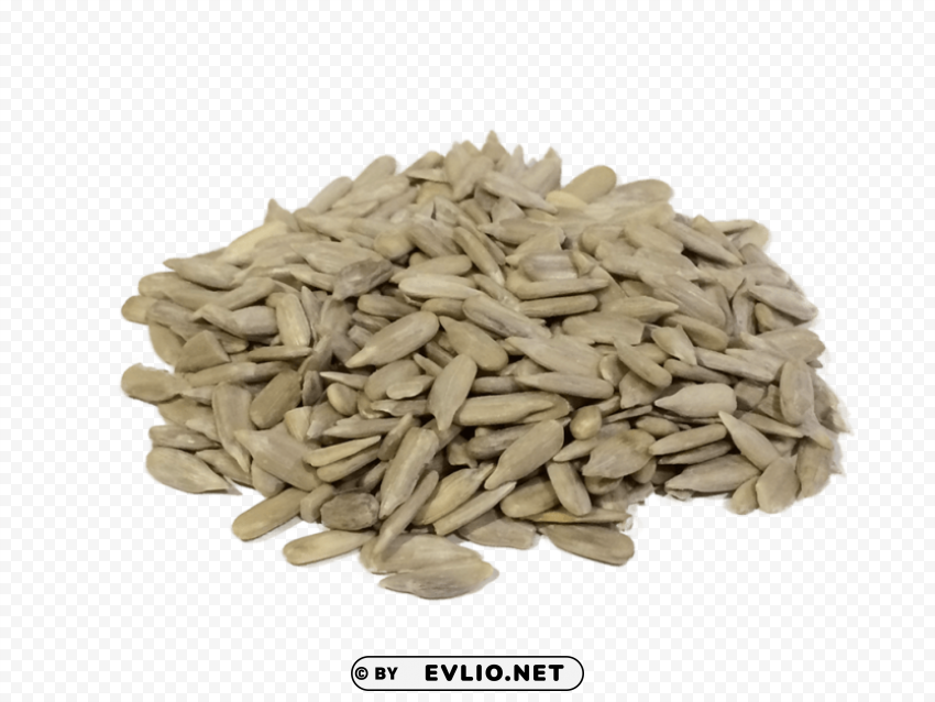 sunflower seeds PNG art PNG images with transparent backgrounds - Image ID a9fb1185