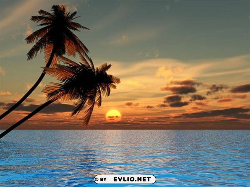 sunset at beach cook islands Transparent PNG Isolated Design Element