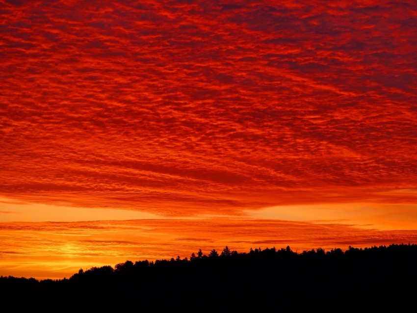 sunset clouds fiery forest twilight bright Isolated Item on Transparent PNG