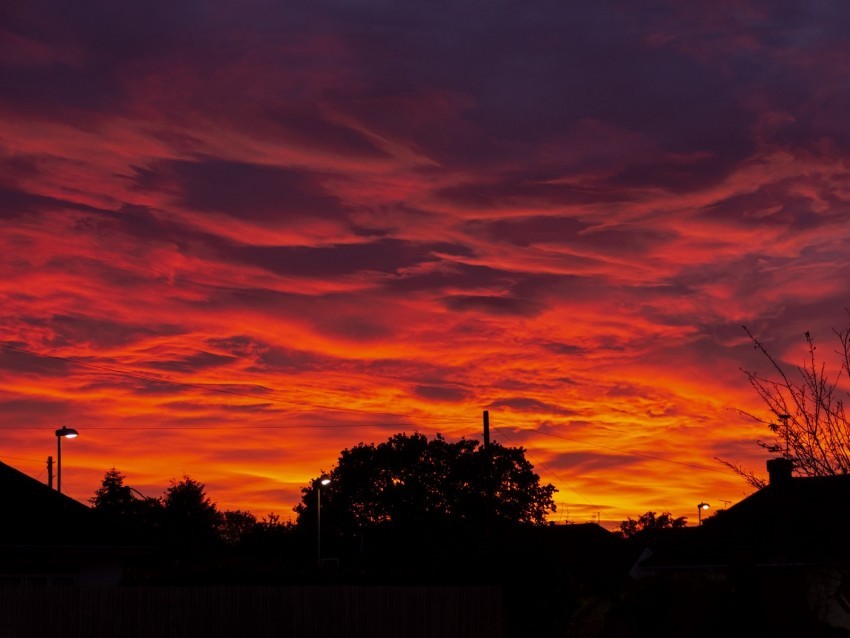 sunset clouds trees fiery Isolated Subject in Clear Transparent PNG