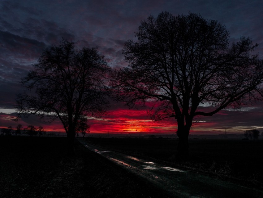 sunset clouds trees road horizon PNG images with transparent overlay