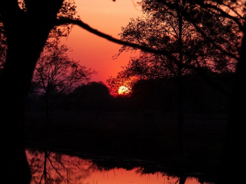 sunset dusk dark outlines trees water reflection HighResolution Transparent PNG Isolated Element