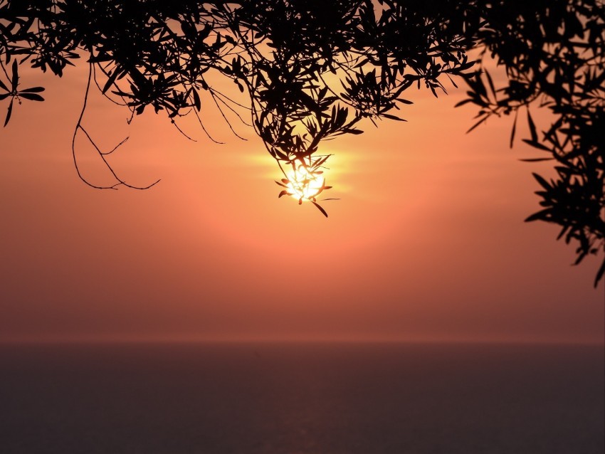 sunset sun branches sea horizon HighQuality Transparent PNG Isolated Object 4k wallpaper