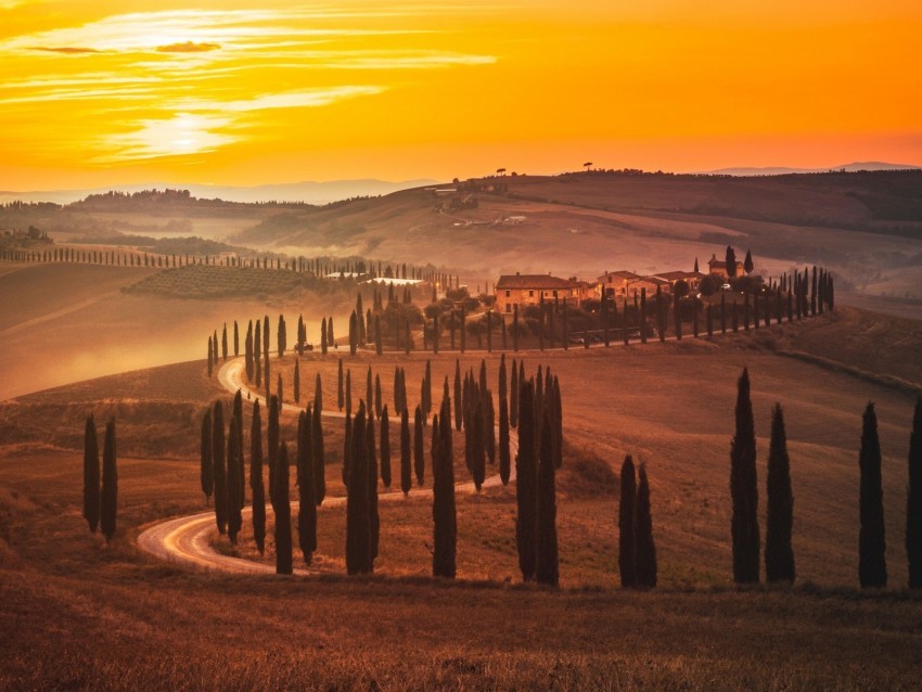 sunset trees road grass horizon Clear background PNG images diverse assortment