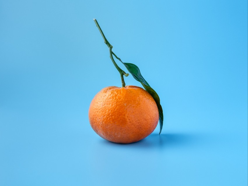 tangerine fruit citrus orange blue PNG format with no background