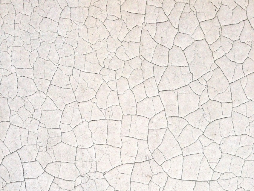 texture cranny surface dry white Isolated Character in Transparent Background PNG