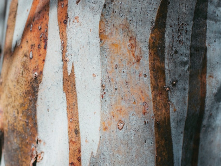 texture spots rust metal PNG transparent stock images