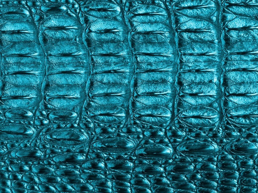 texture structure scales macro Clear PNG pictures comprehensive bundle 4k wallpaper