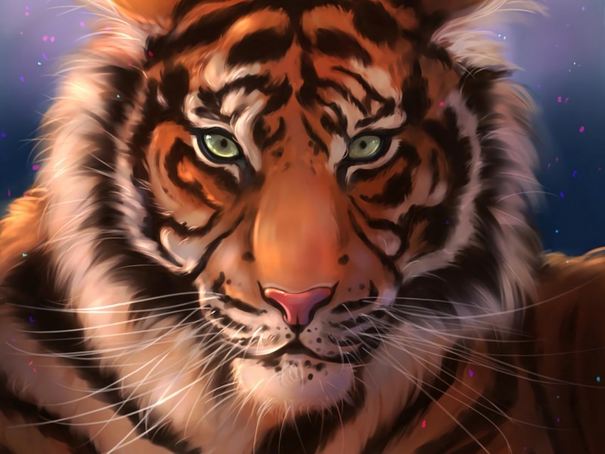 tiger muzzle art predator striped PNG files with alpha channel