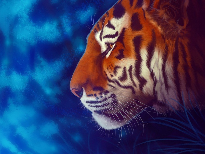 tiger predator big cat art Clear background PNG elements