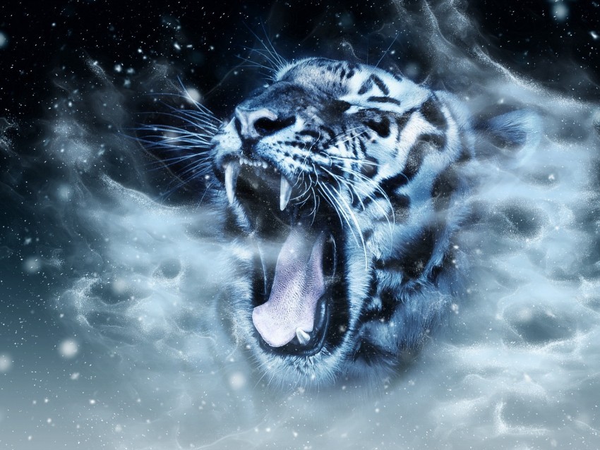 tiger predator grin muzzle photoshop PNG files with transparency 4k wallpaper