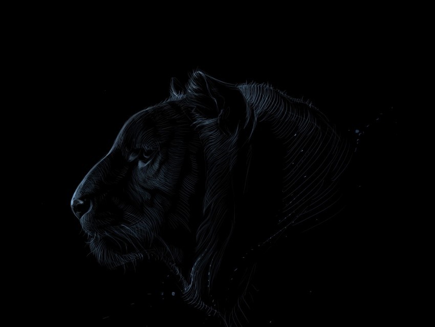 tiger profile art dark predator PNG images with no background needed