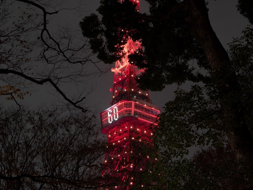 tower backlight night branches tokyo japan Transparent PNG Graphic with Isolated Object