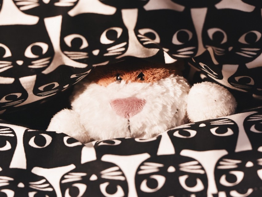 toy teddy peeking pattern cats PNG images with transparent backdrop 4k wallpaper